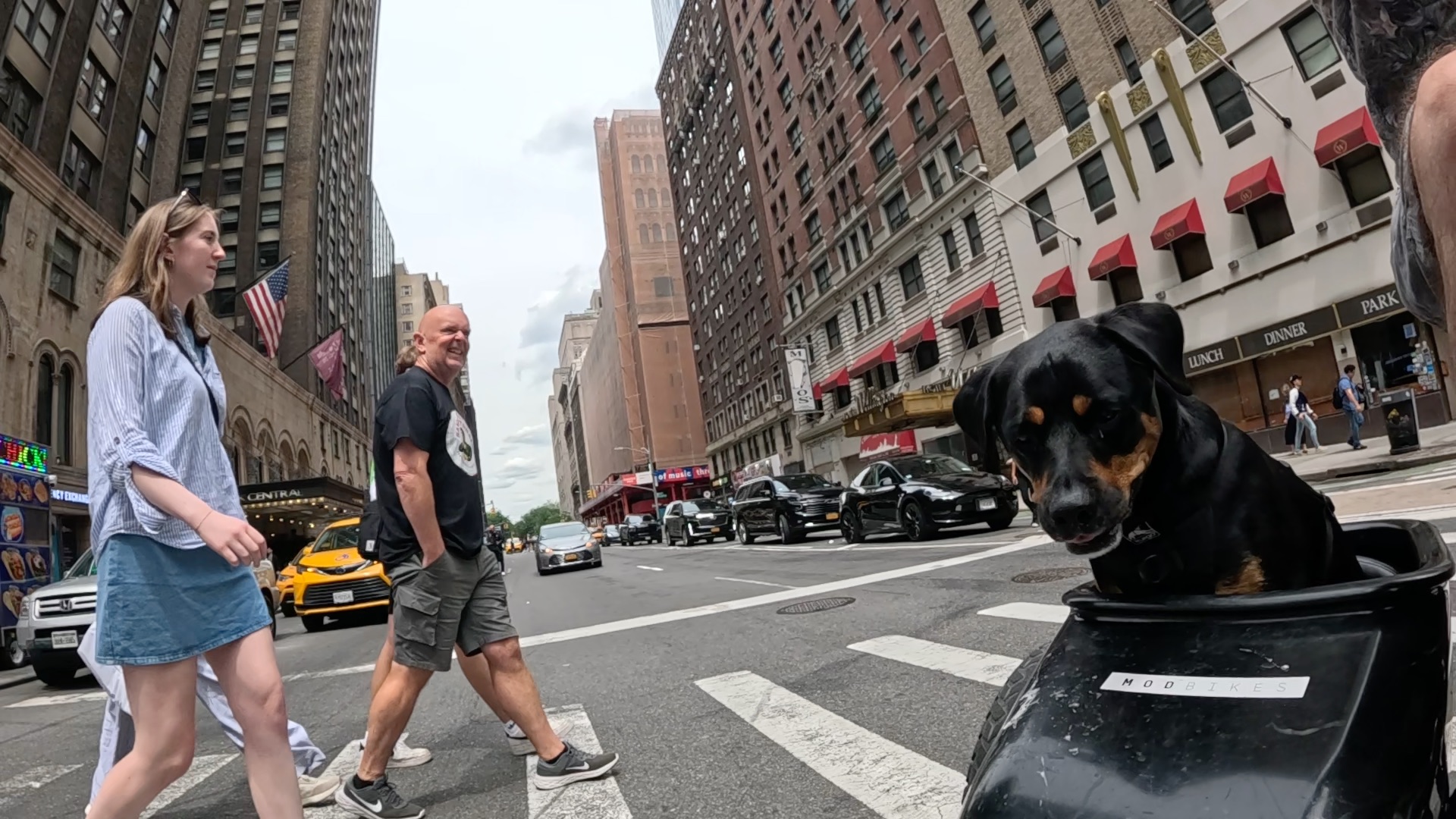 Two people walking a dog on a city street in front of a Subway restaurant, with the dog facing the camera.