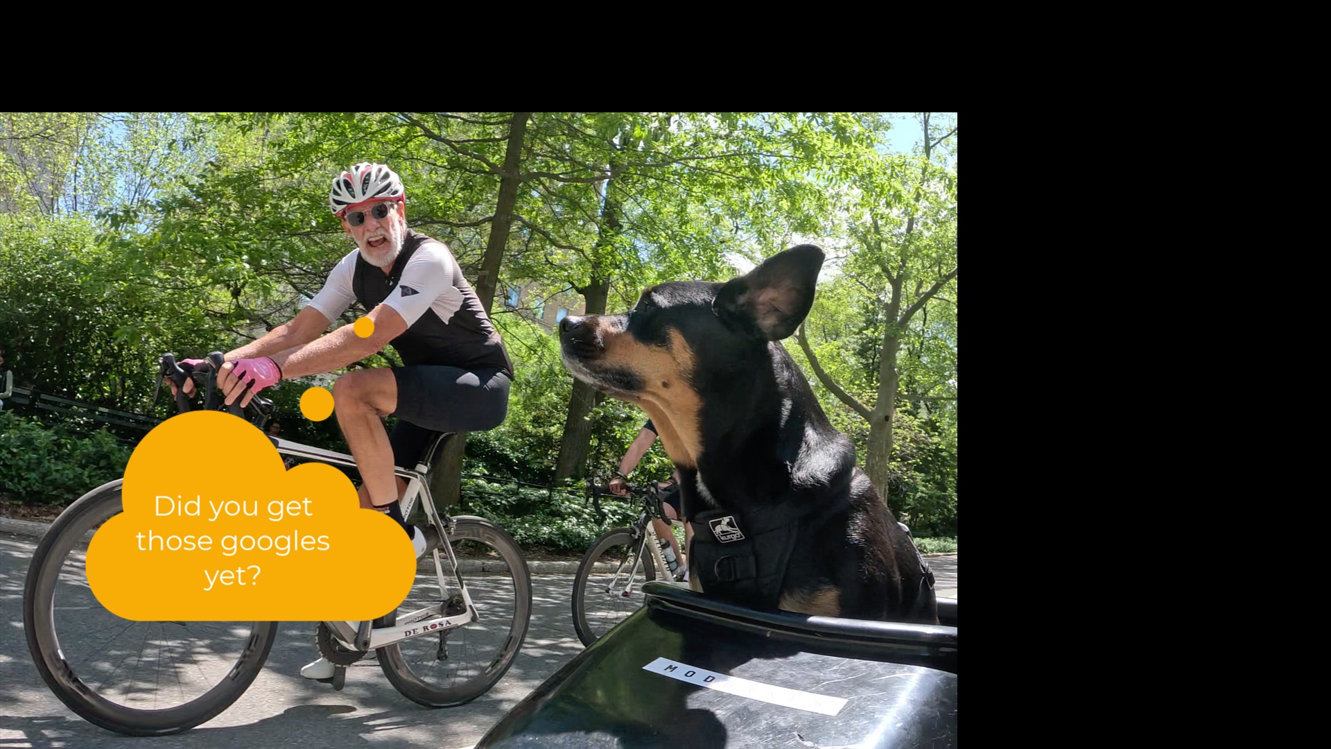 Black and tan dog sitting in a bike sidecar next to a black electric bicycle parked on a stone pavement.