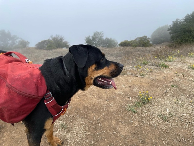 Patrol photo from Unmapped on 2022-10-01T00:00:00.000Z