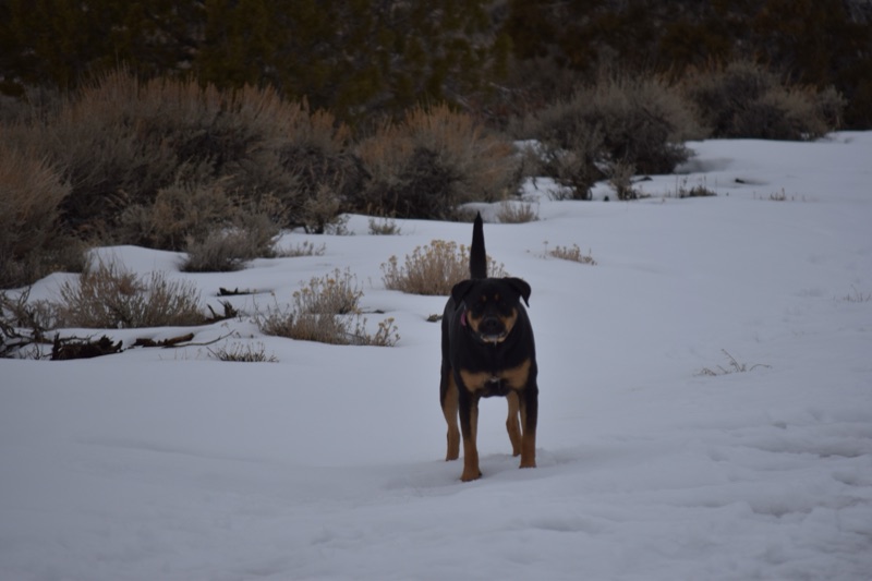 Patrol photo from Unmapped on 2022-12-26T00:00:00.000Z