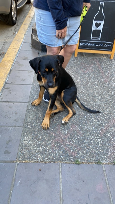 Patrol photo from Oakland — Downtown/Uptown on 2020-07-31T00:00:00.000Z