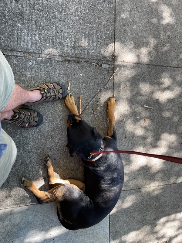 Patrol photo from Portland, OR on 2021-06-29T00:00:00.000Z