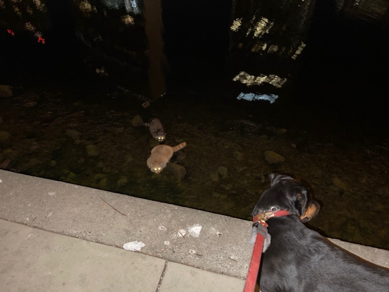 Patrol photo from Oakland — Downtown/Uptown on 2021-10-01T00:00:00.000Z