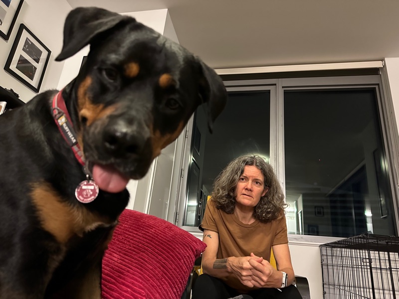 Patrol photo from Hell's Kitchen on 2023-11-18T00:00:00.000Z
