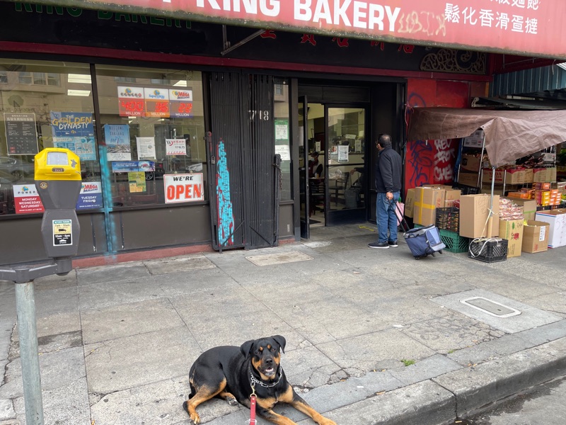 Patrol photo from Oakland — Downtown/Uptown on 2022-04-21T00:00:00.000Z