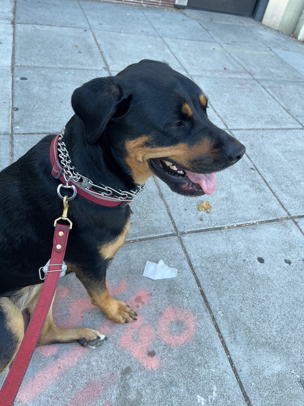 Patrol photo from Oakland — Downtown/Uptown on 2022-05-31T00:00:00.000Z