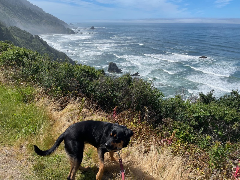 Patrol photo from Crescent City & Del Norte on 2022-06-10T00:00:00.000Z