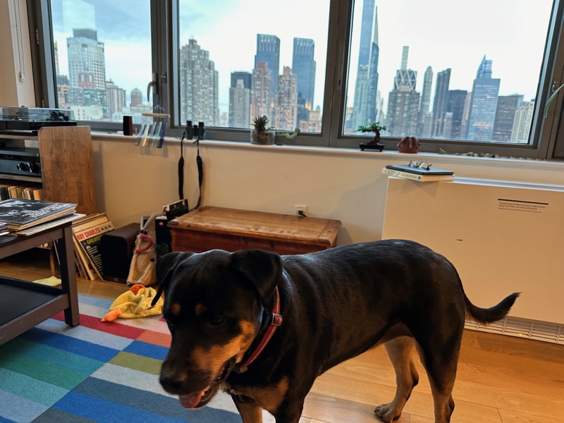 Patrol photo from Hell's Kitchen on 2024-03-04T00:00:00.000Z