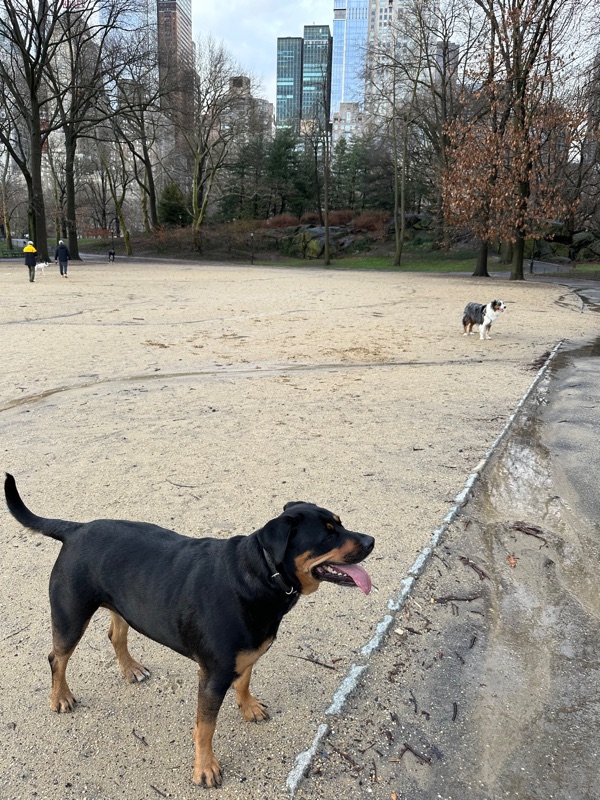 Patrol photo from Columbus Circle on 2024-03-10T00:00:00.000Z