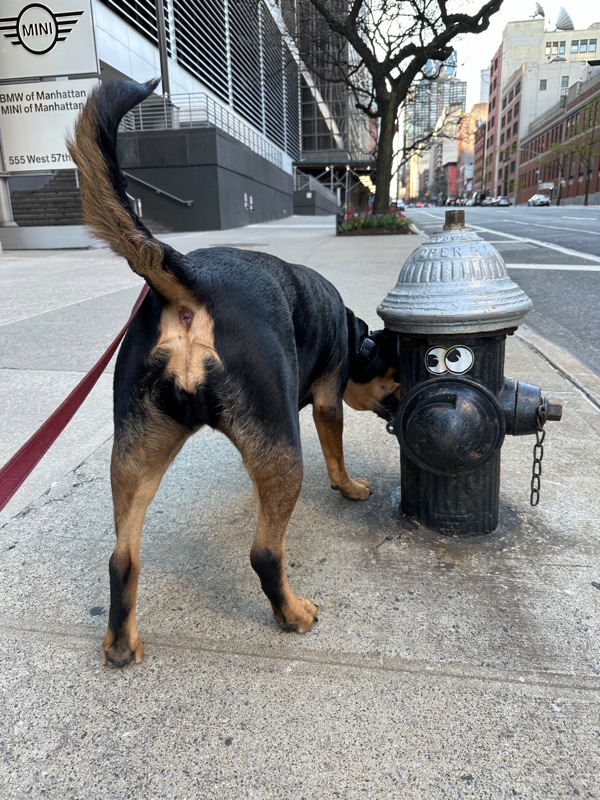 Patrol photo from Hell's Kitchen on 2024-04-14T00:00:00.000Z