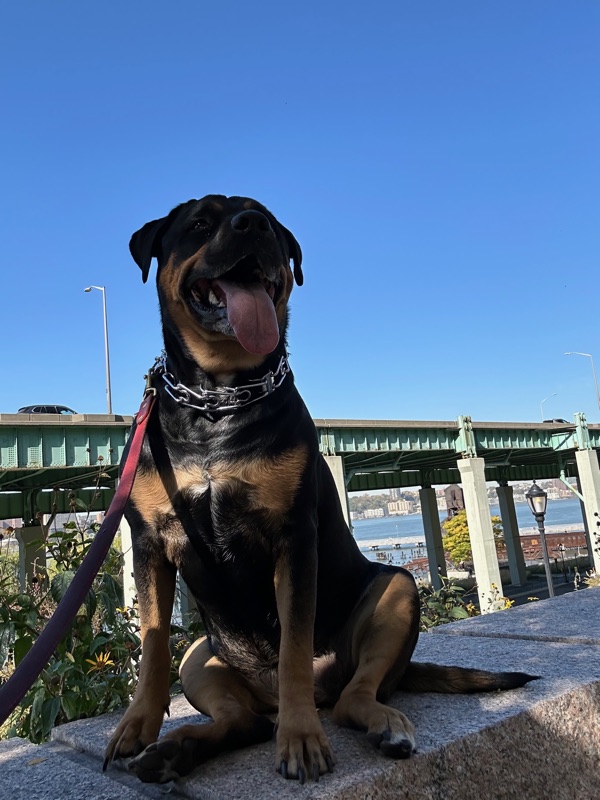 Patrol photo from Upper West Side on 2024-10-21T00:00:00.000Z