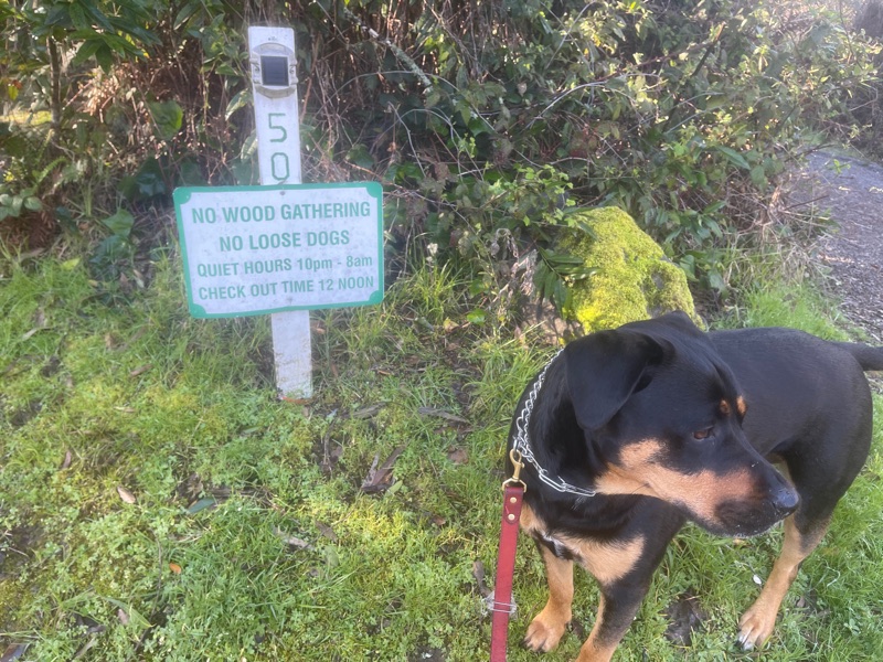 Patrol photo from Sonoma County on 2023-03-24T00:00:00.000Z