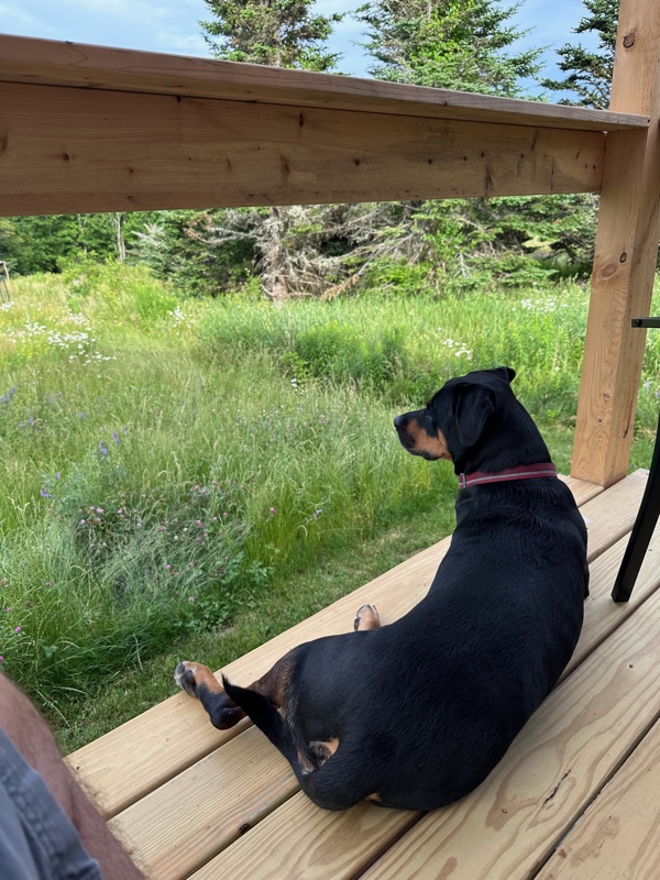 Patrol photo from Maine on 2025-06-26T00:00:00.000Z