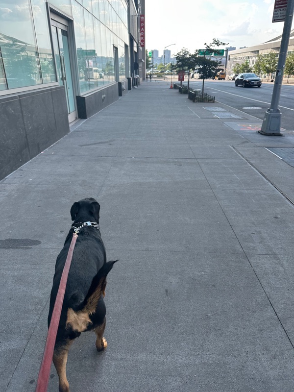 Patrol photo from Hell's Kitchen on 2025-07-29T00:00:00.000Z
