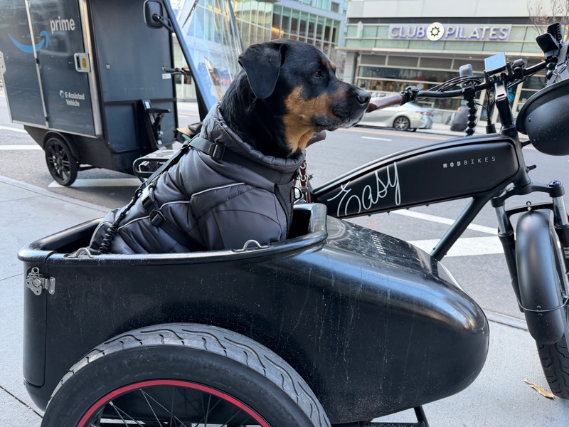 Patrol photo from Hell's Kitchen on 2025-11-28T00:00:00.000Z