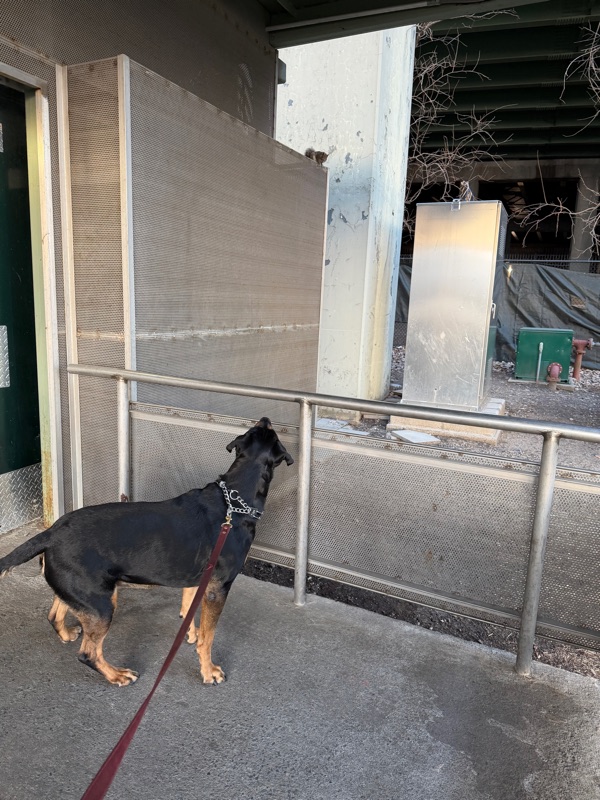 Patrol photo from Upper West Side on 2026-03-11T00:00:00.000Z