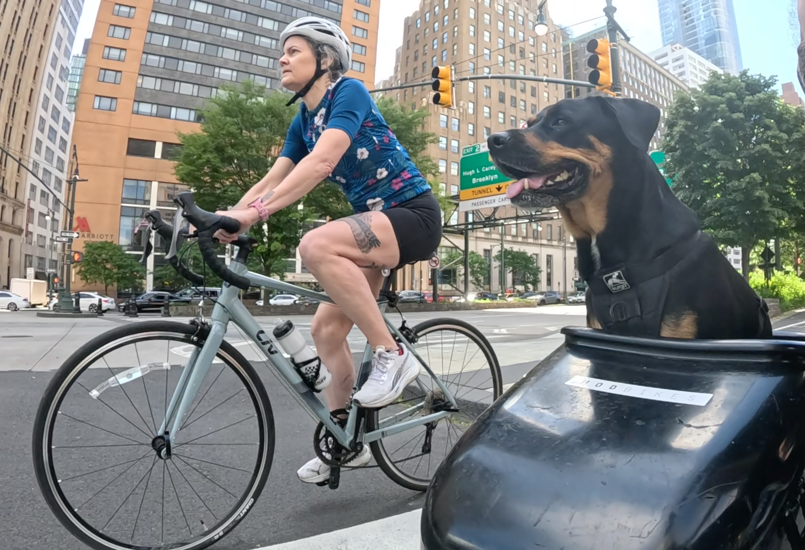 Patrol photo from Central Park on 2025-05-19