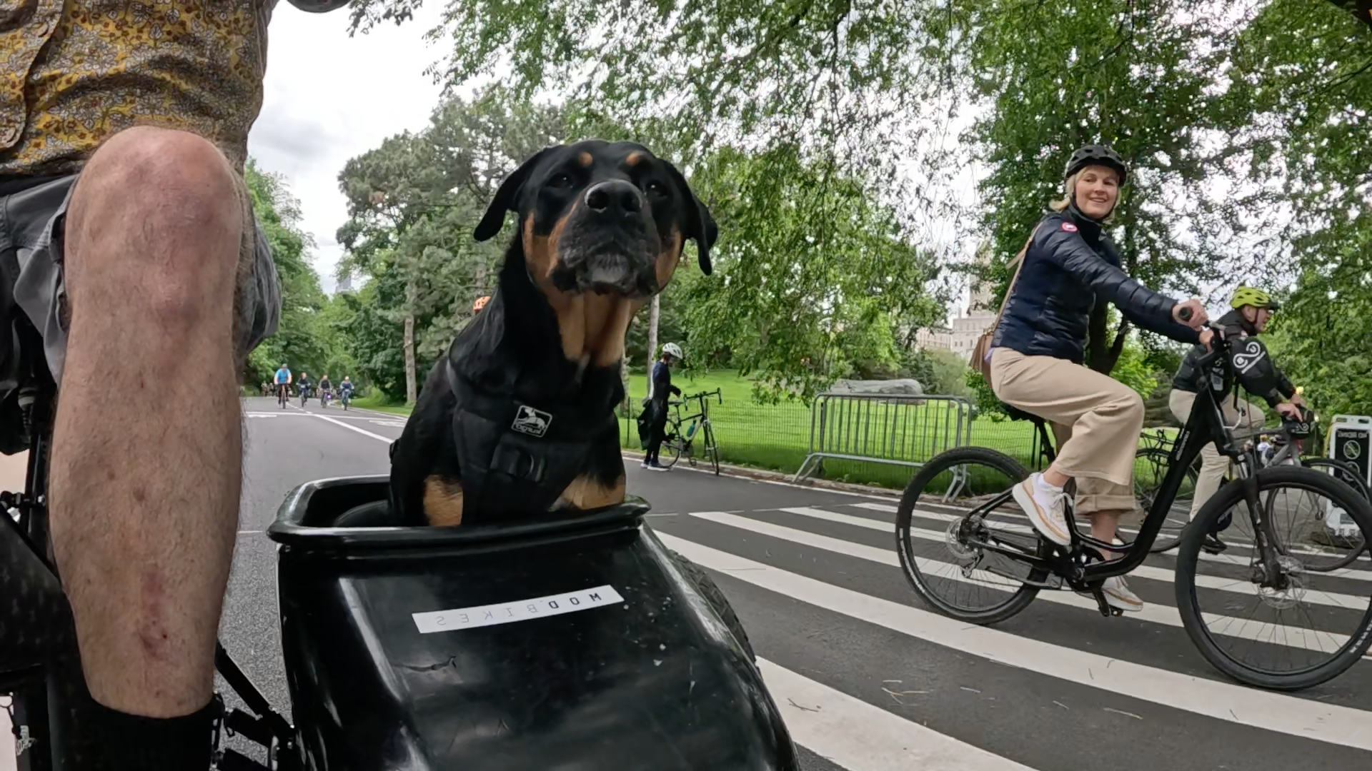 Patrol photo from Central Park on 2025-05-27