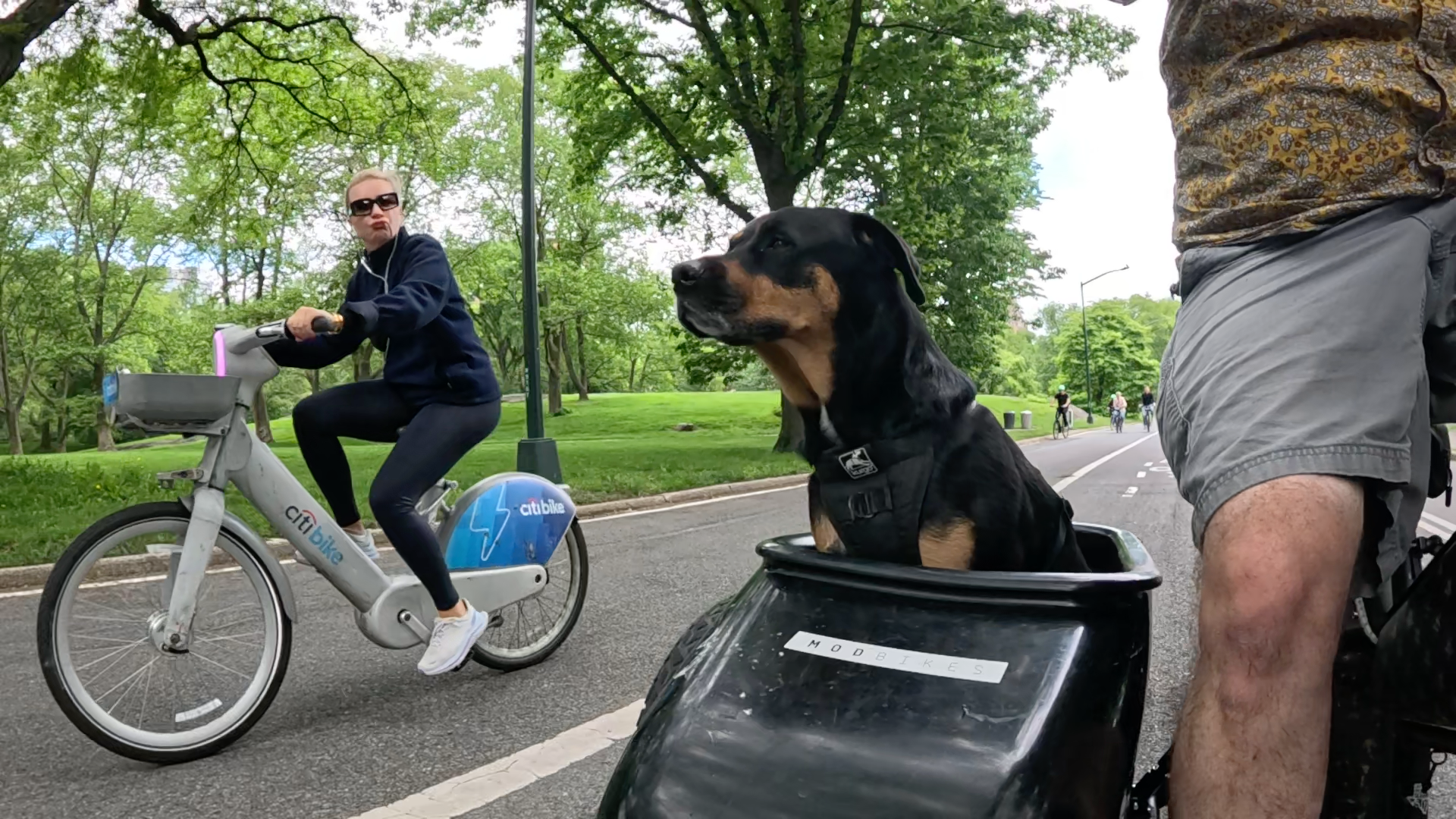 Patrol photo from Central Park on 2025-05-26
