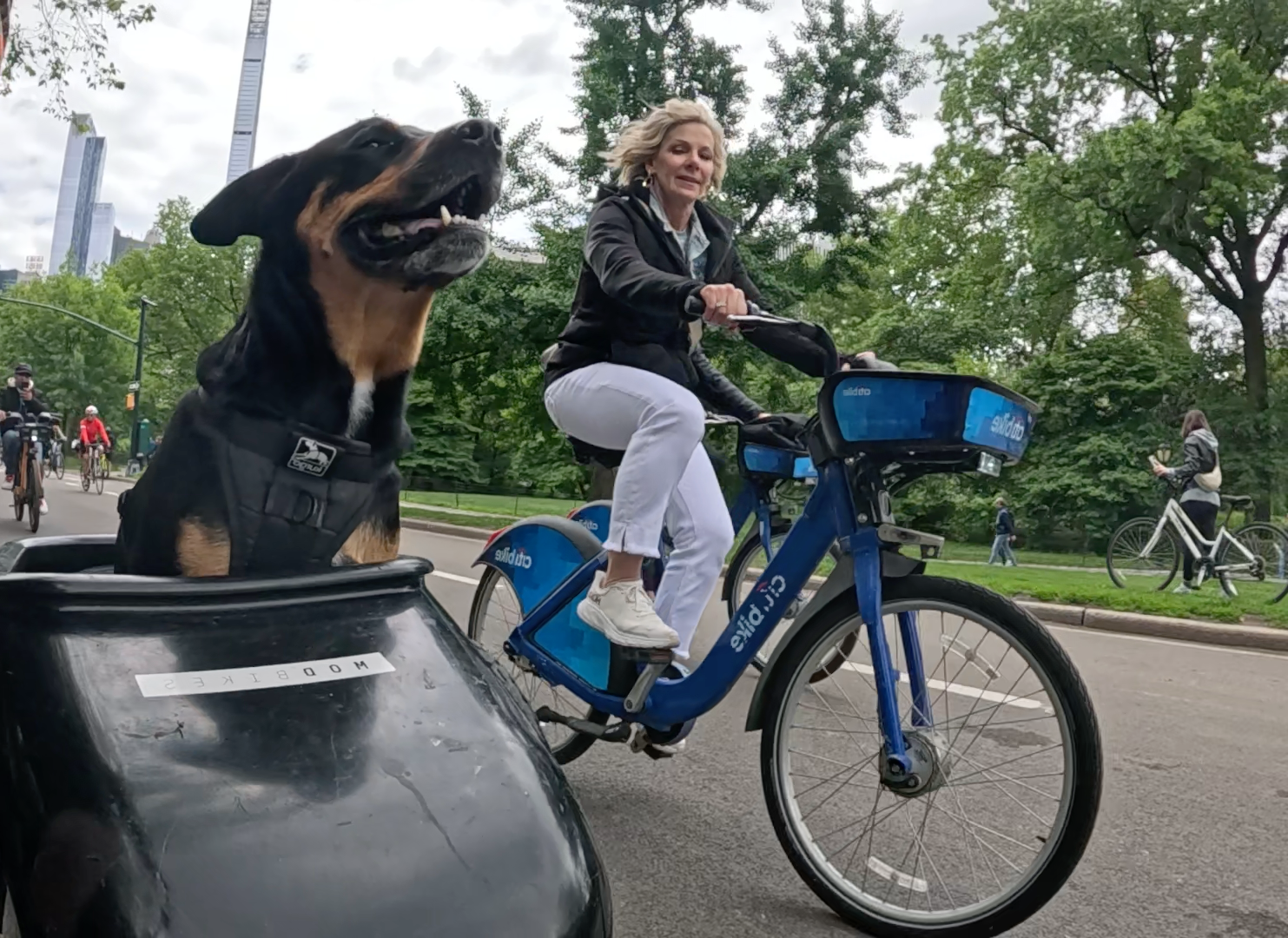 Patrol photo from Central Park on 2025-05-27