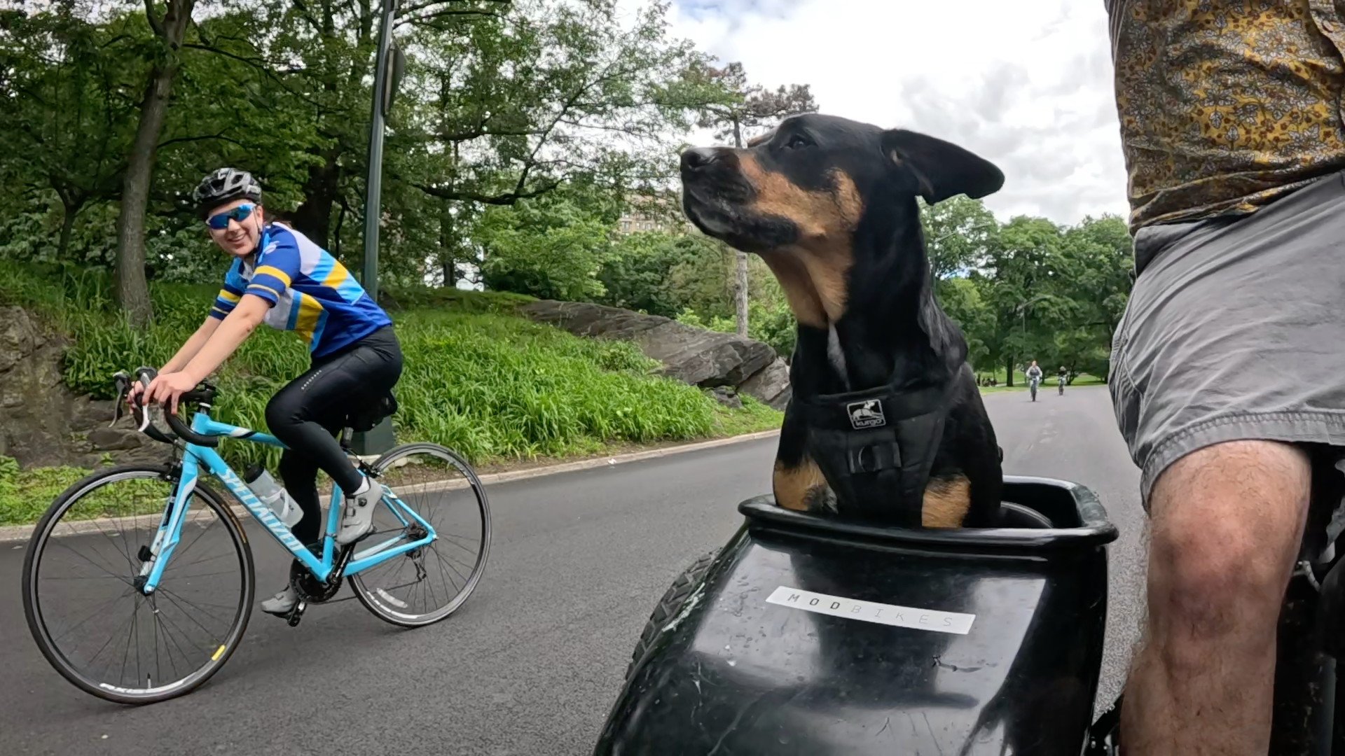Patrol photo from Central Park on 2025-05-26
