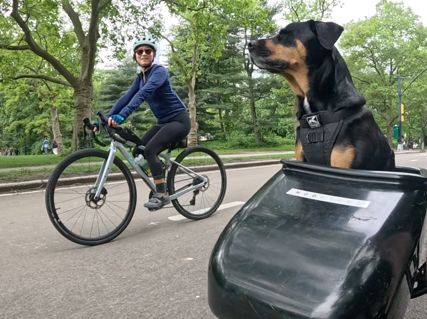 Patrol photo from Central Park on 2025-05-25