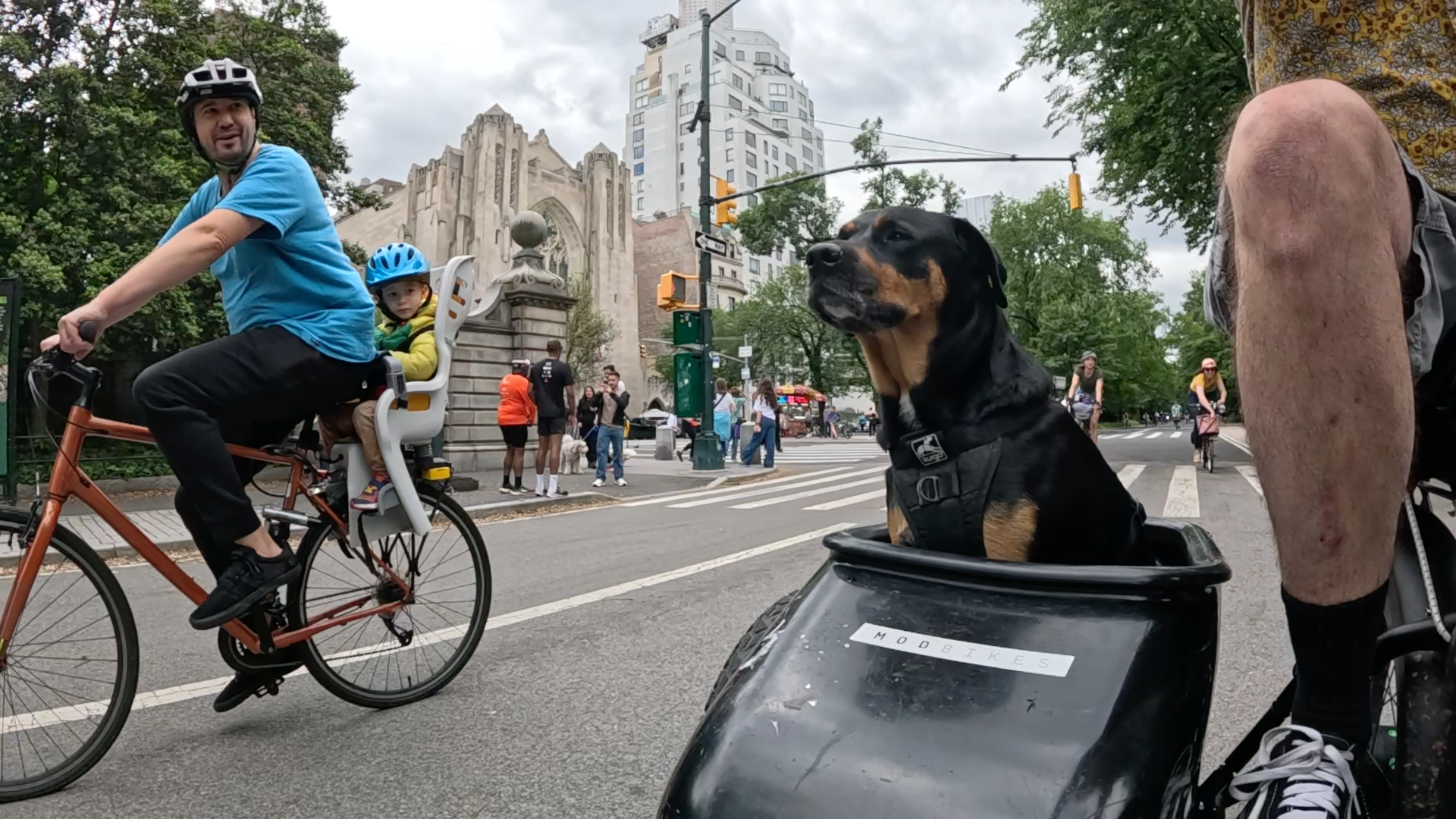 Patrol photo from Central Park on 2025-05-26