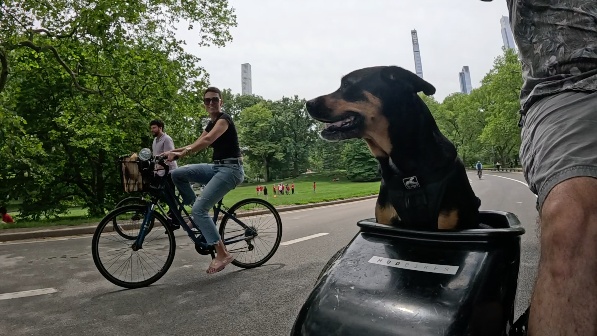 Patrol photo from Central Park on 2025-05-27