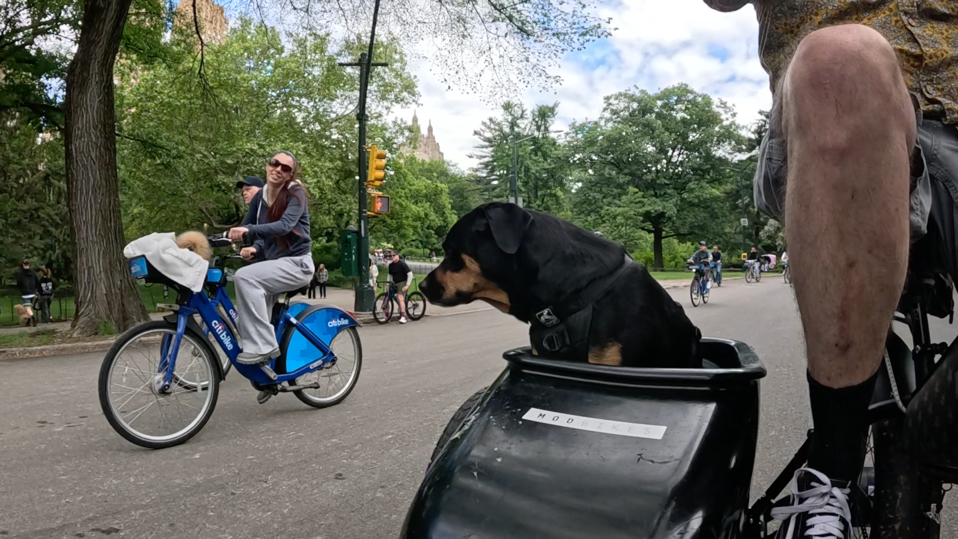 Patrol photo from Central Park on 2025-05-26