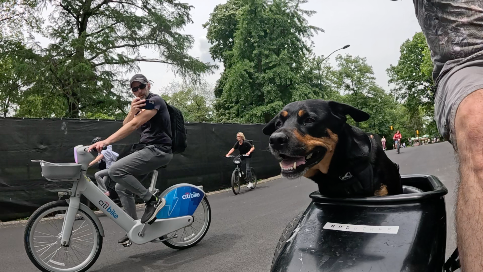 Patrol photo from Central Park on 2025-05-27