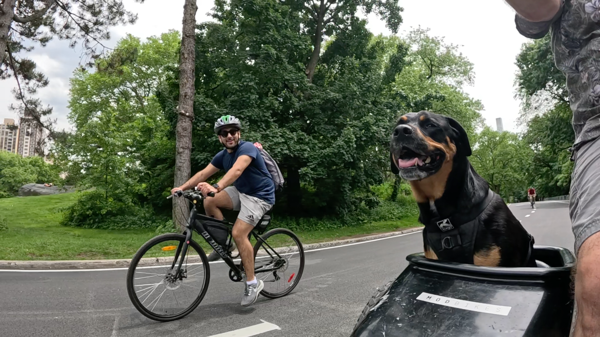 Patrol photo from Central Park on 2025-05-27