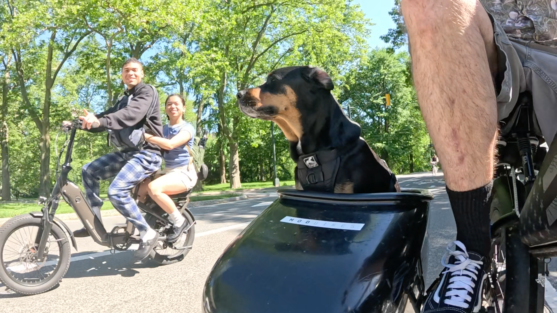 Patrol photo from Central Park on 2025-05-19