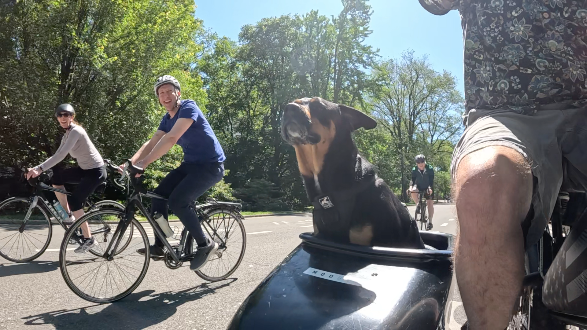 Patrol photo from Central Park on 2025-05-26