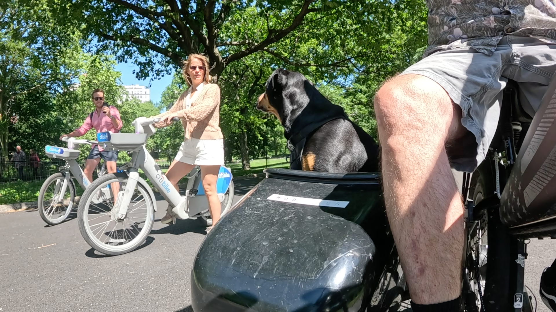 Patrol photo from Central Park on 2025-05-19