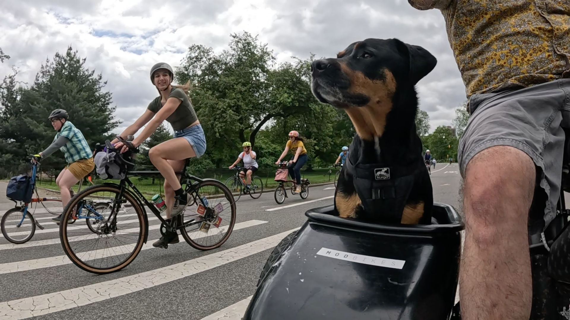 Patrol photo from Central Park on 2025-05-26