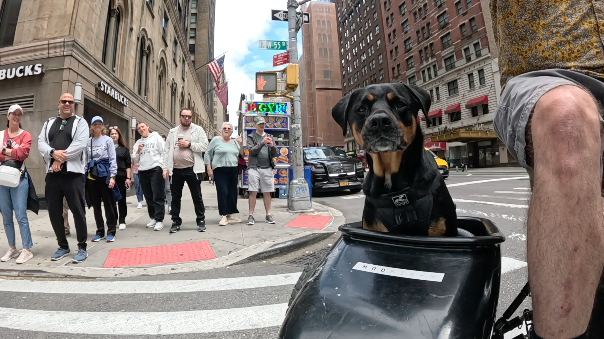 Patrol photo from Central Park on 2025-05-26