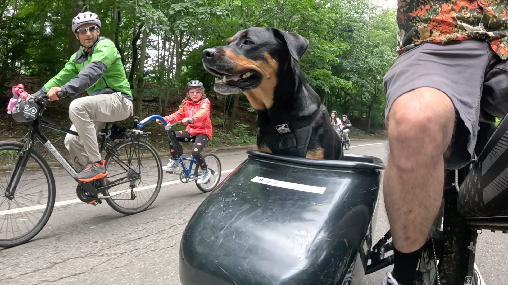 Patrol photo from Central Park on 2025-05-24