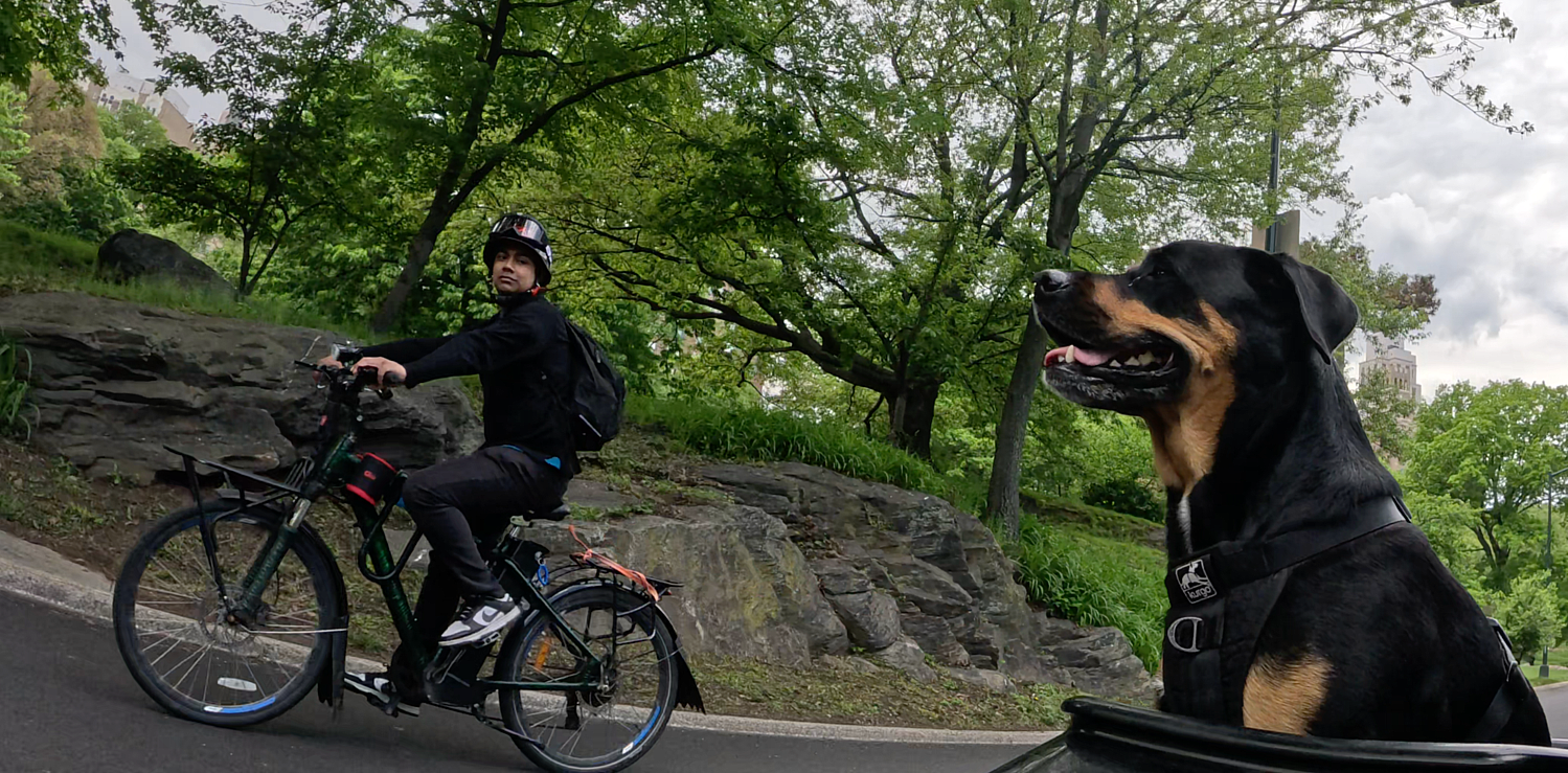 Patrol photo from Central Park on 2025-05-10