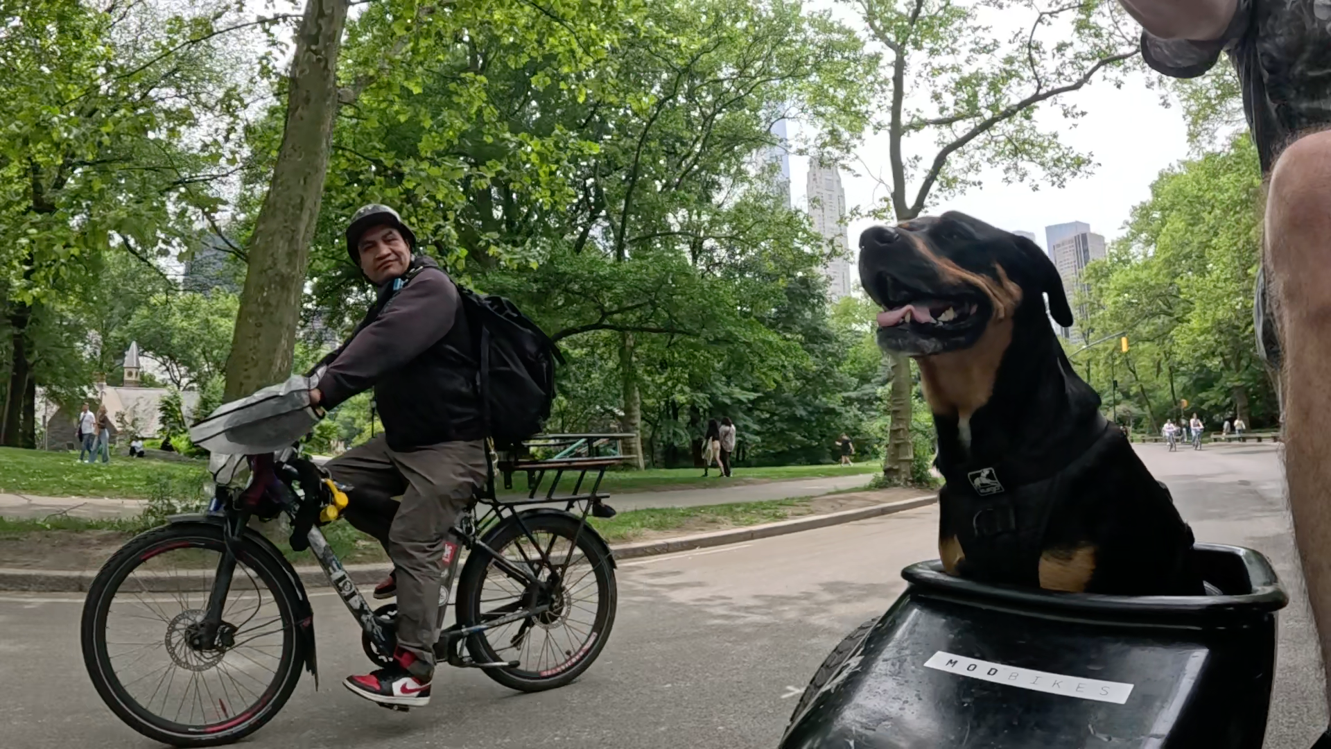 Patrol photo from Central Park on 2025-05-27