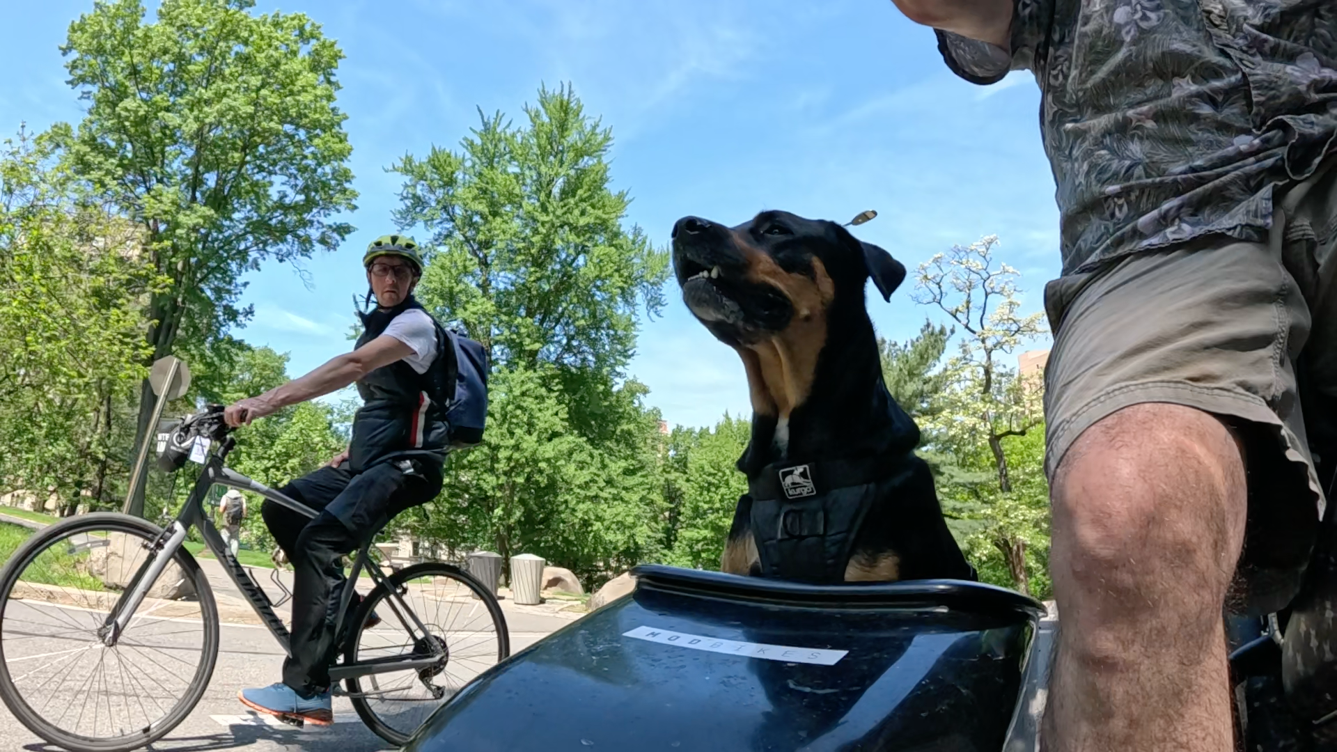 Patrol photo from Central Park on 2025-05-12