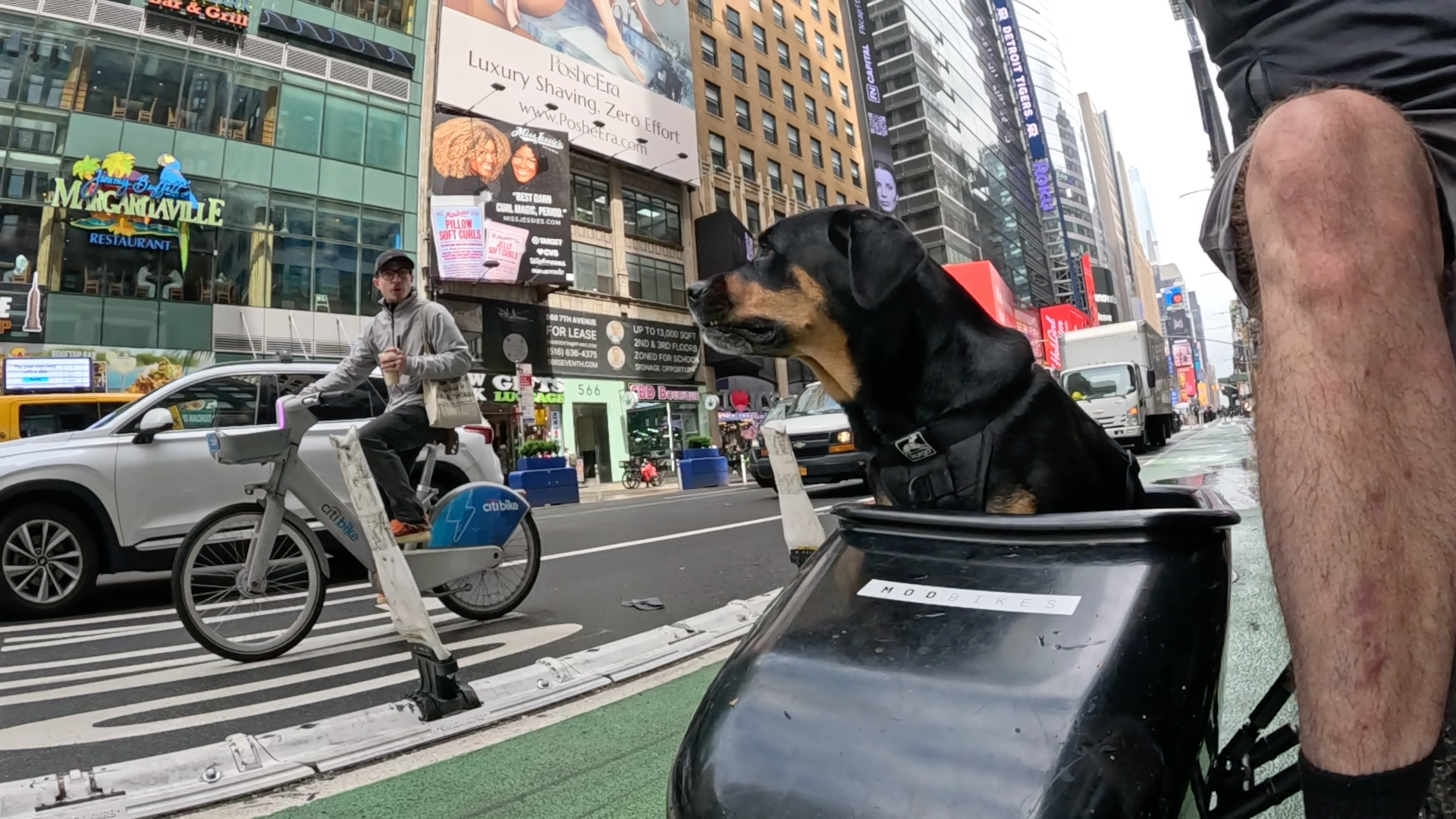 Patrol photo from Central Park on 2025-05-23