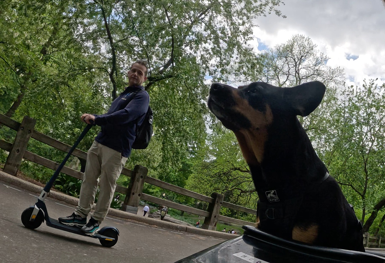 Patrol photo from Central Park on 2025-05-10