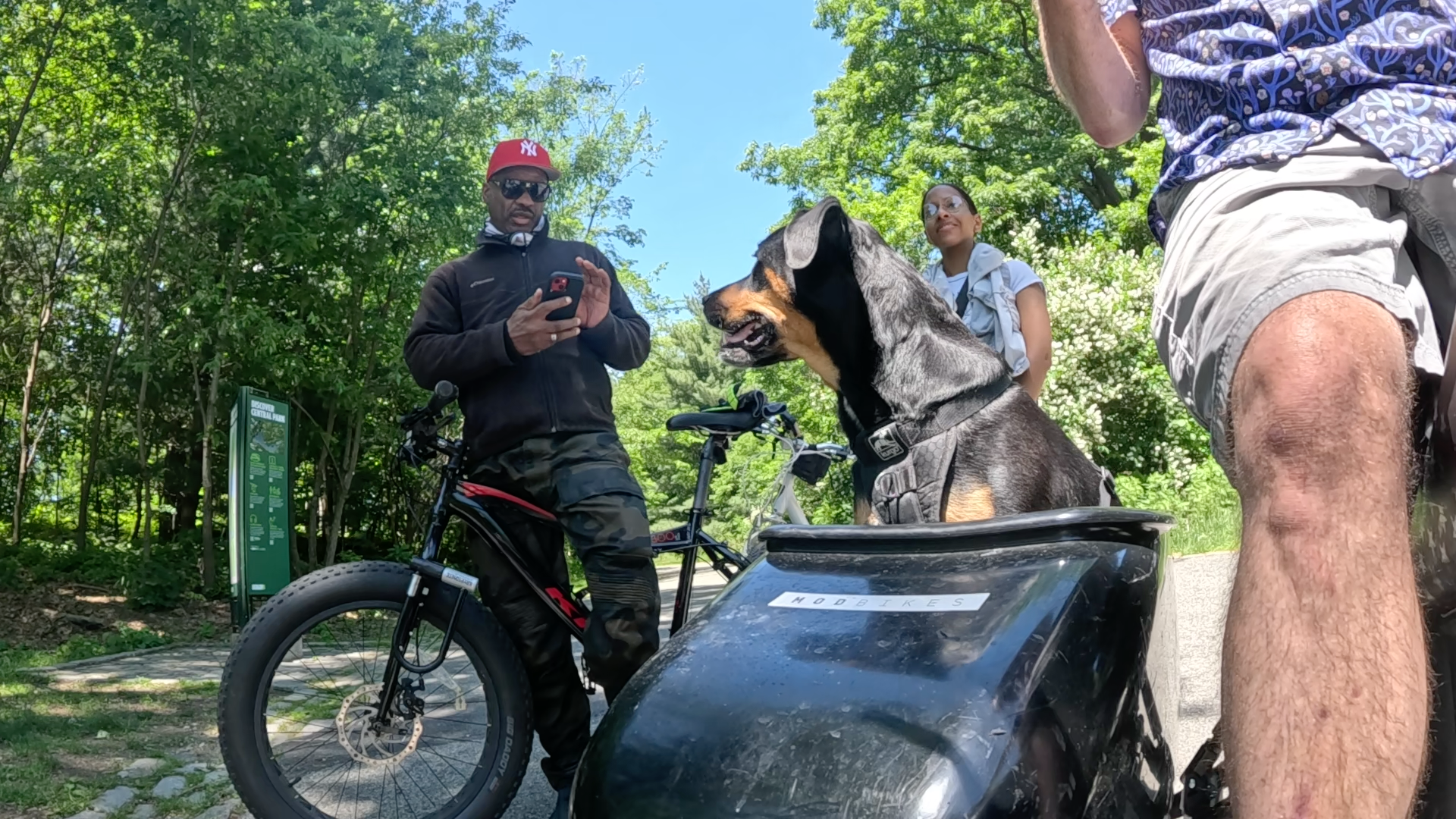 Patrol photo from Central Park on 2025-05-20