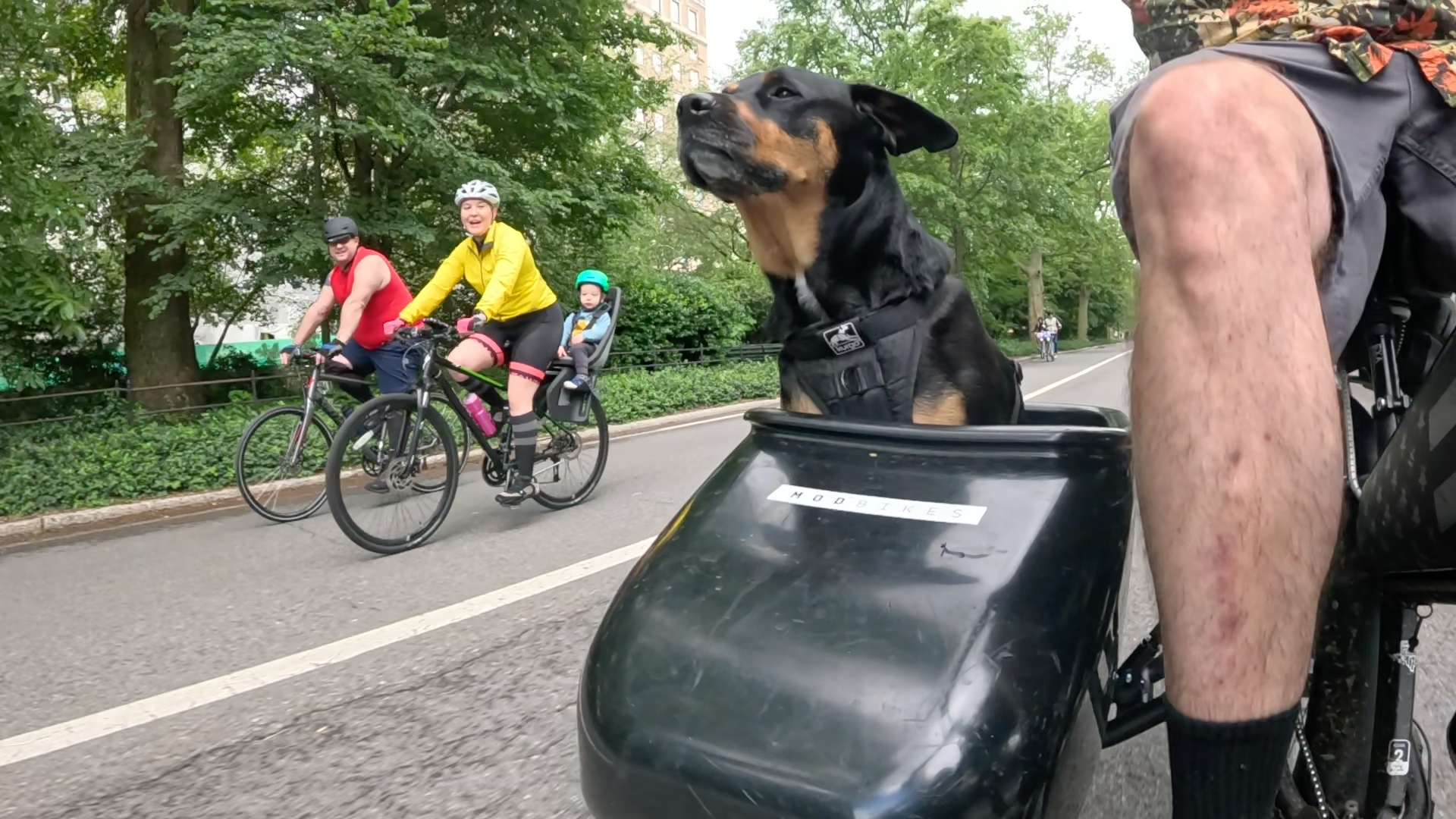 Patrol photo from Central Park on 2025-05-24
