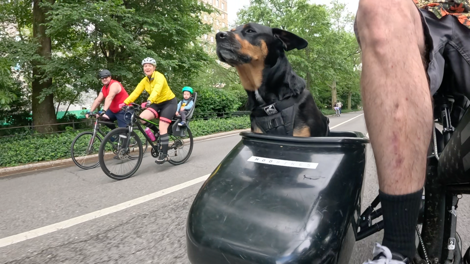 Patrol photo from Central Park on 2025-05-24