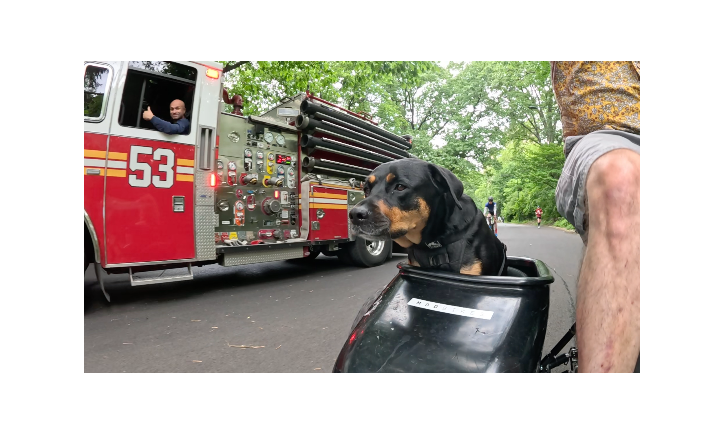 Patrol photo from Central Park on 2025-05-27