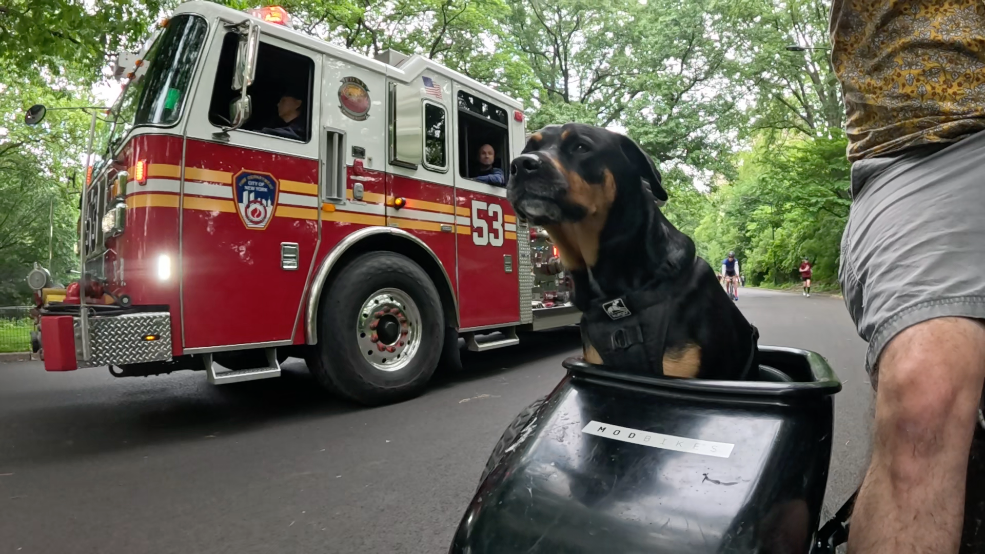 Patrol photo from Central Park on 2025-05-26