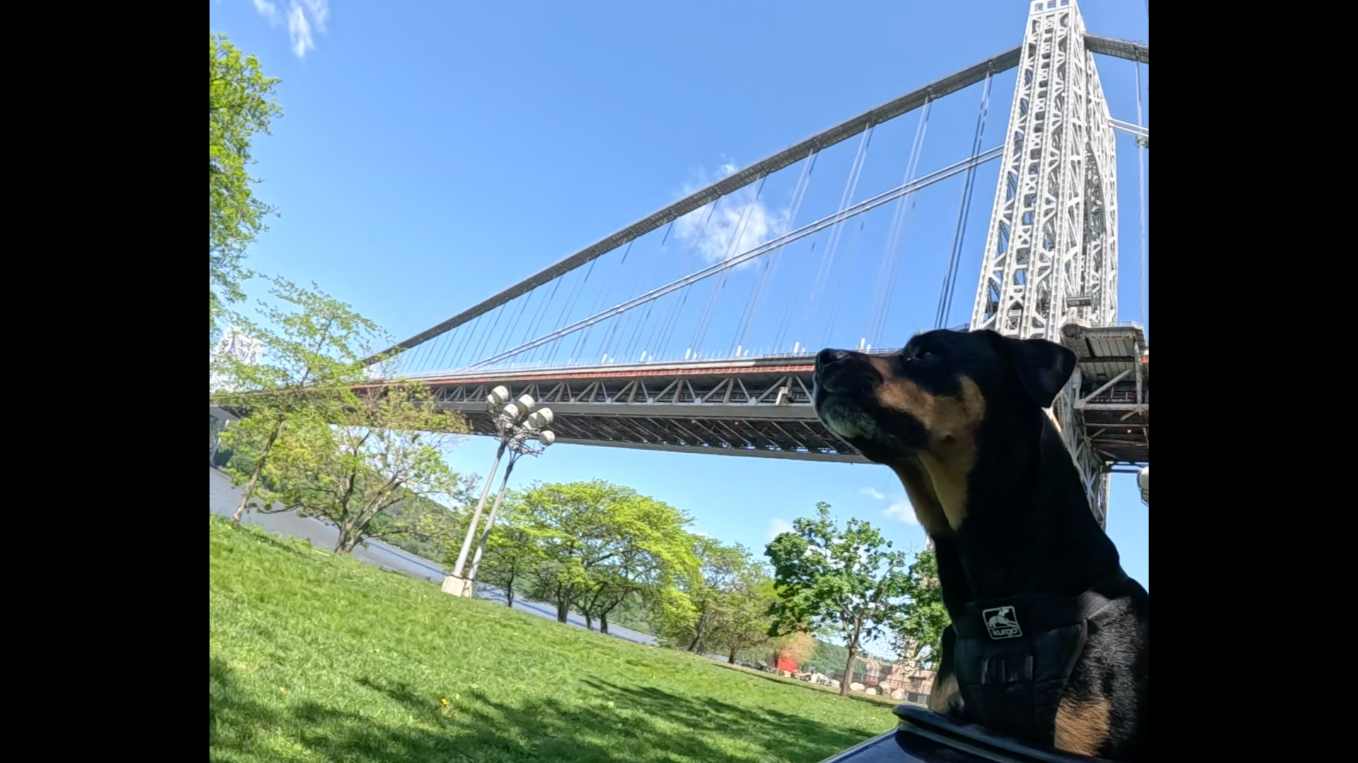 Patrol photo from Central Park on 2025-05-10