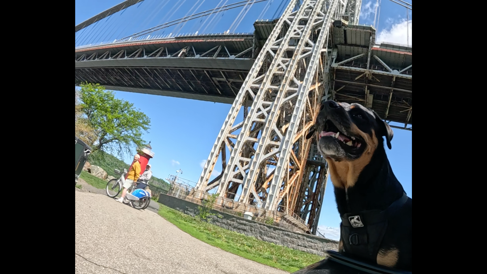 Patrol photo from Central Park on 2025-05-10