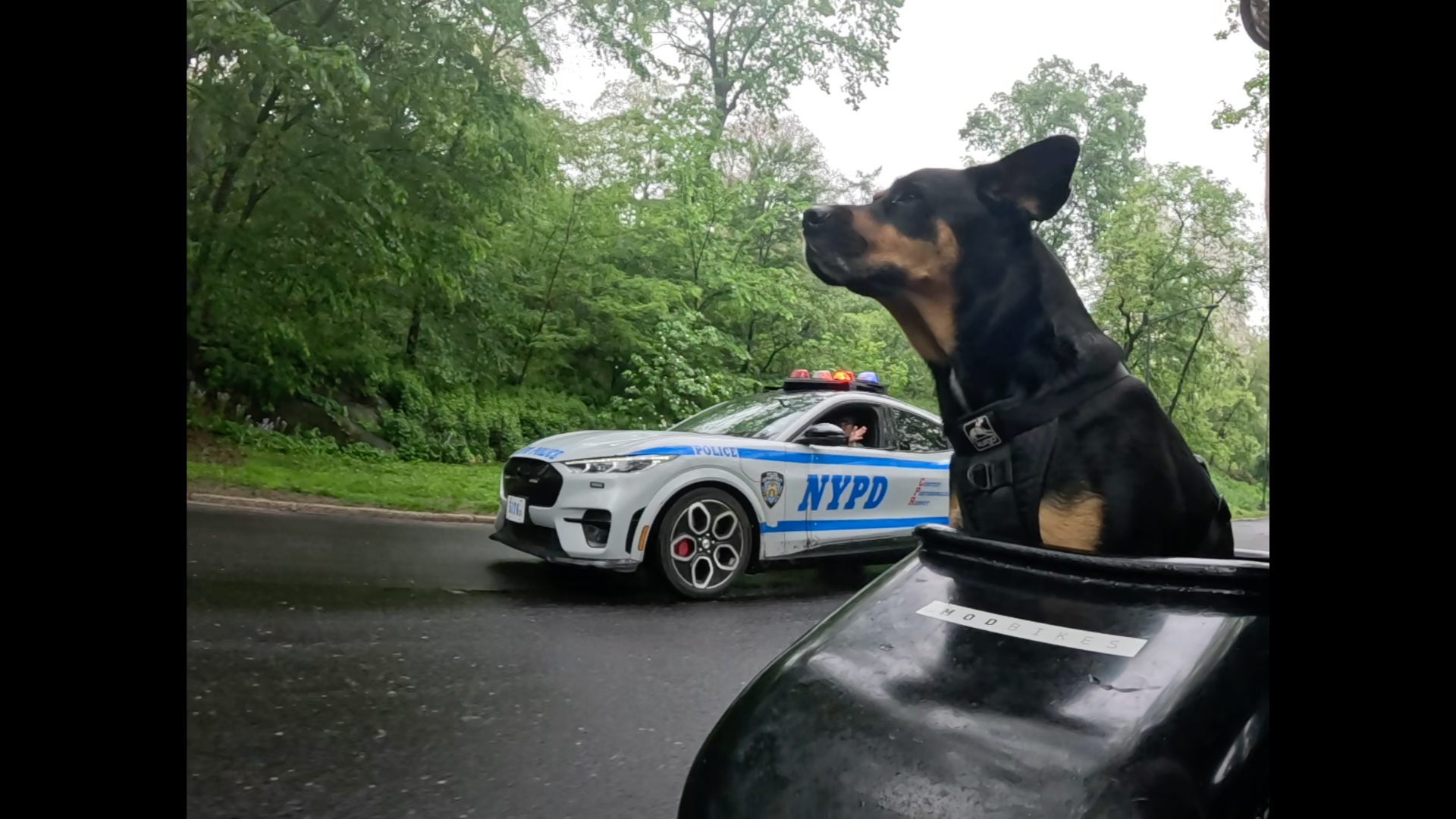 Patrol photo from Central Park on 2025-05-09